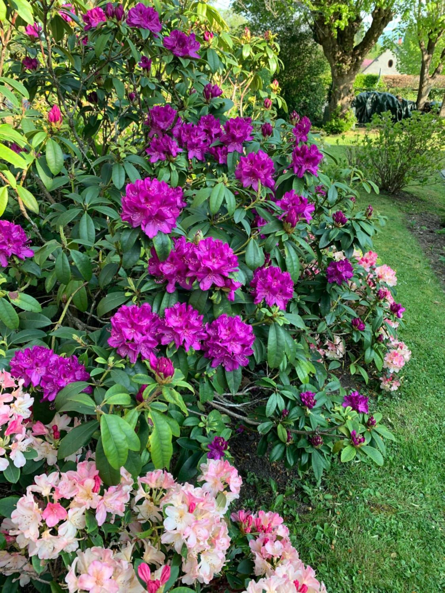 La Villa Des Rosiers Cricqueboeuf ภายนอก รูปภาพ